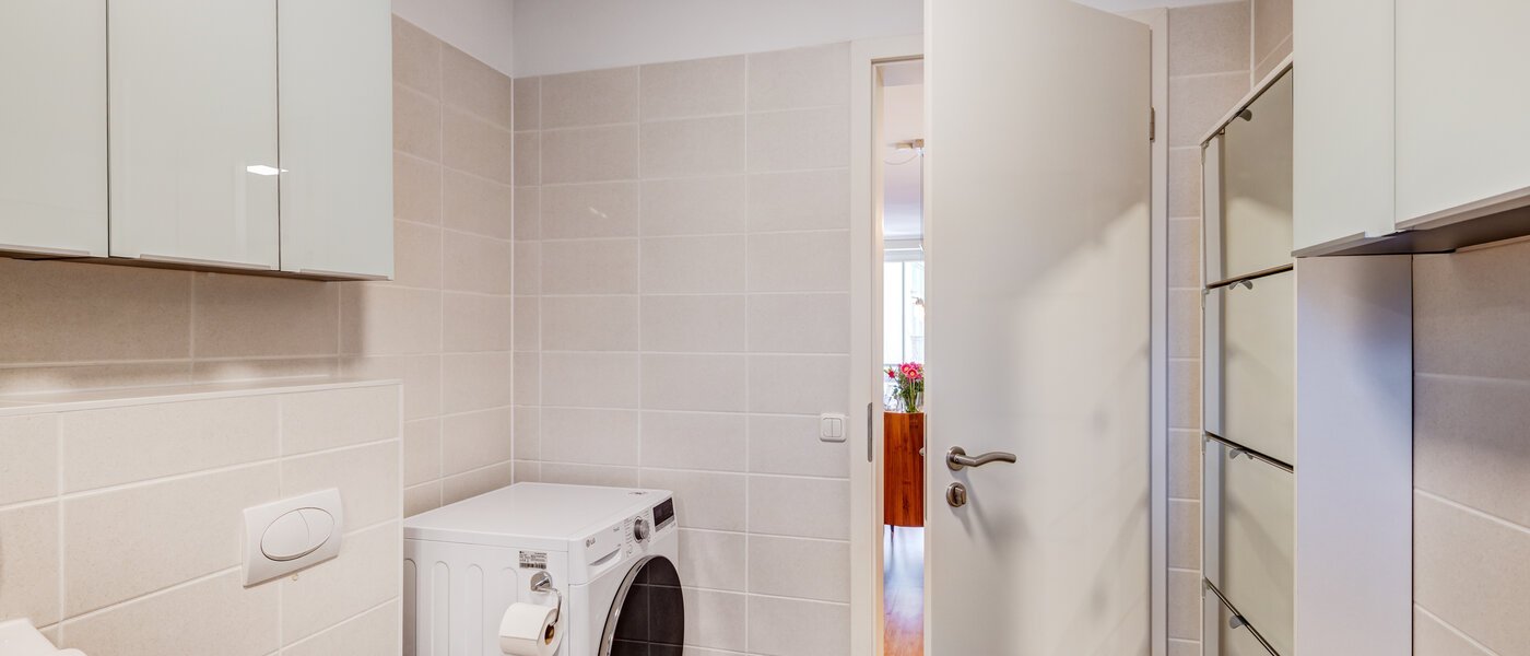 apartment München Haidhausen 03 guest toilet 14730