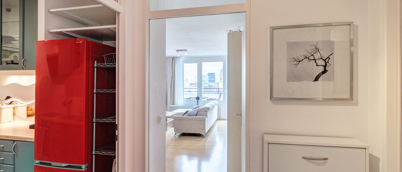 apartment München Haidhausen 02 hall 14734