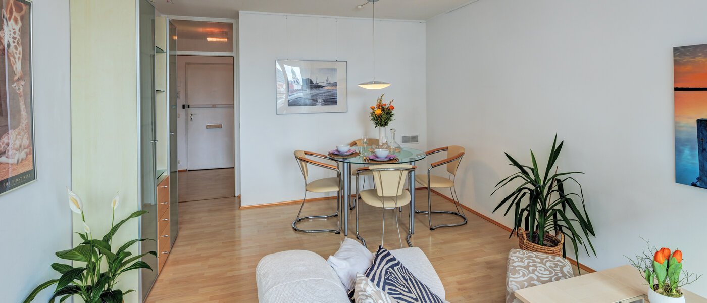 apartment München Haidhausen 03 living area 14734