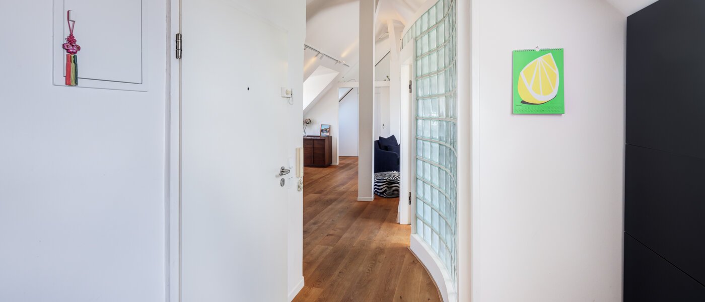 roof terrace apartment München Haidhausen 01 hall 14748