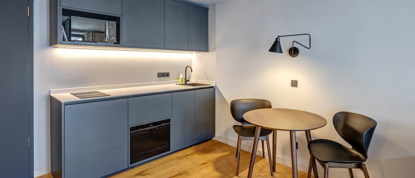 apartment München Ludwigsvorstadt 01 kitchen 14755