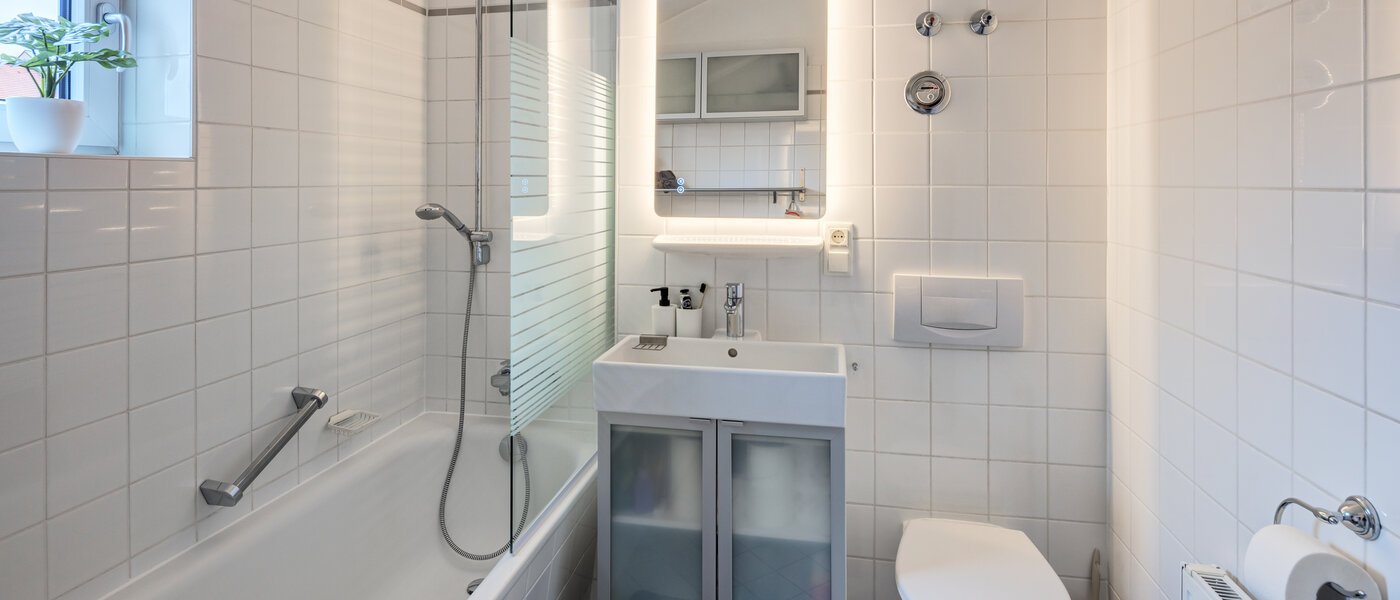 roof terrace apartment München Maxvorstadt 02 bathroom 14758