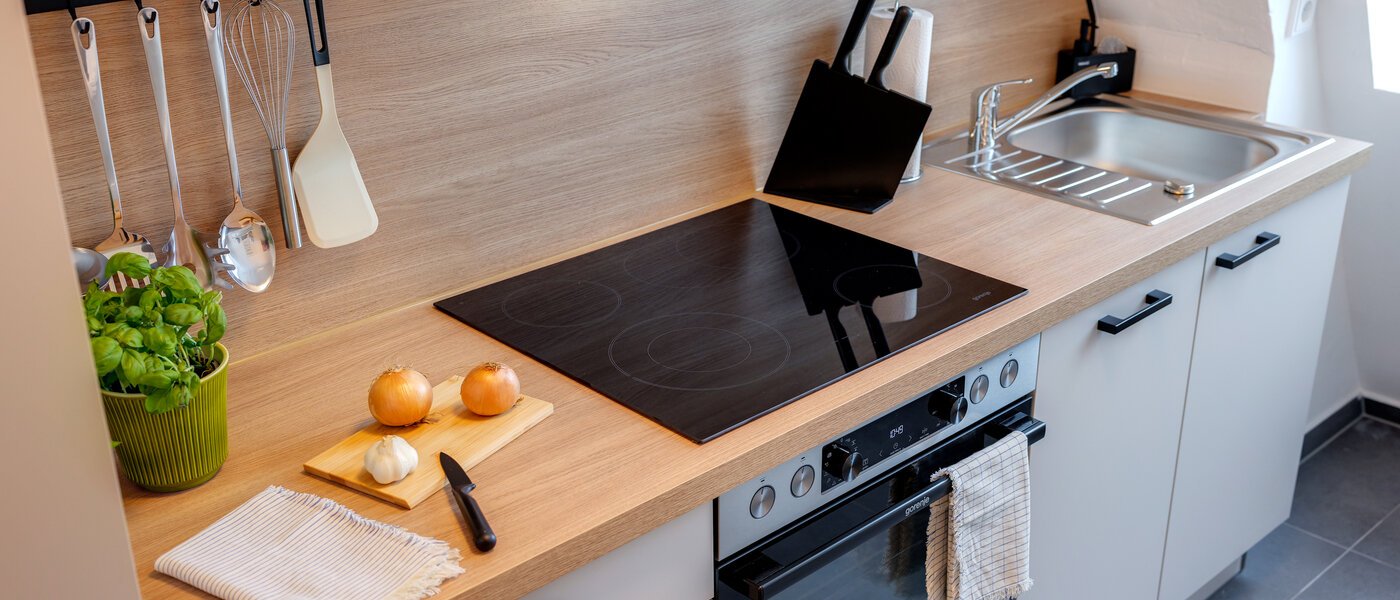 attic apartment München Isarvorstadt 02 kitchen 14762