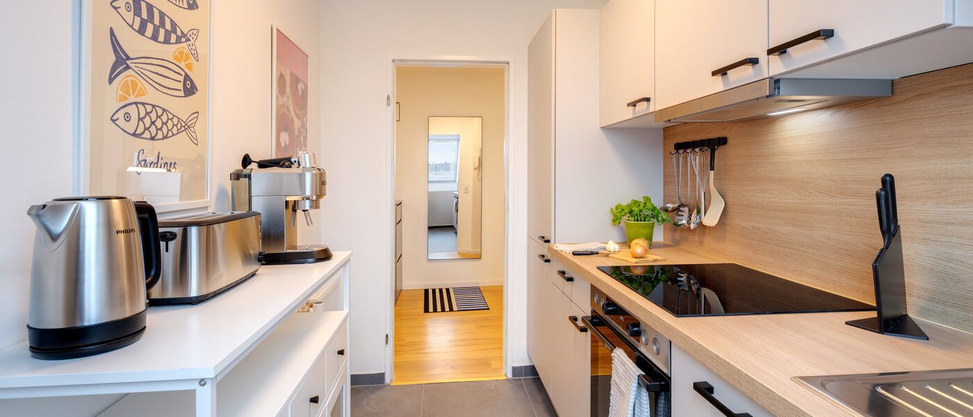 attic apartment München Isarvorstadt 03 kitchen 14762