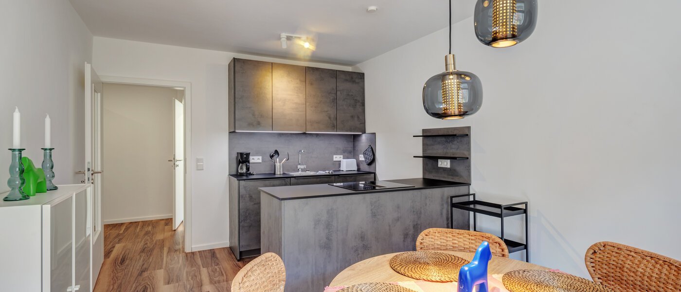 apartment München Isarvorstadt 01 kitchen 14764