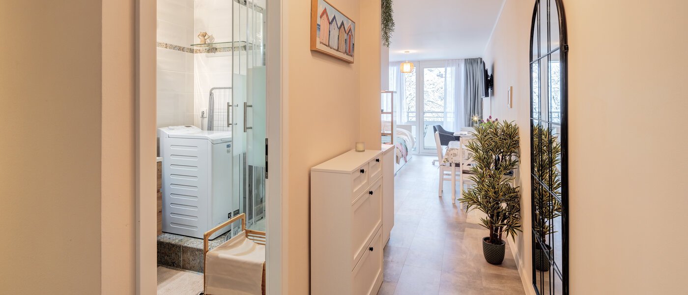 apartment München Haidhausen 03 hall 14768