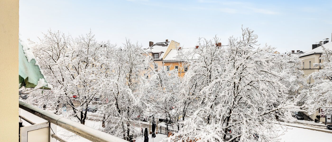 apartment München Haidhausen 01 view 14768