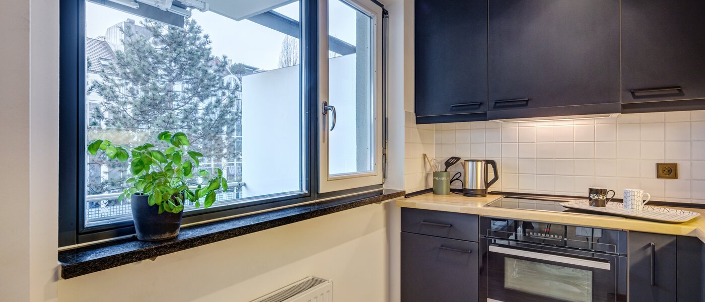 apartment München Maxvorstadt 04 kitchen 14769