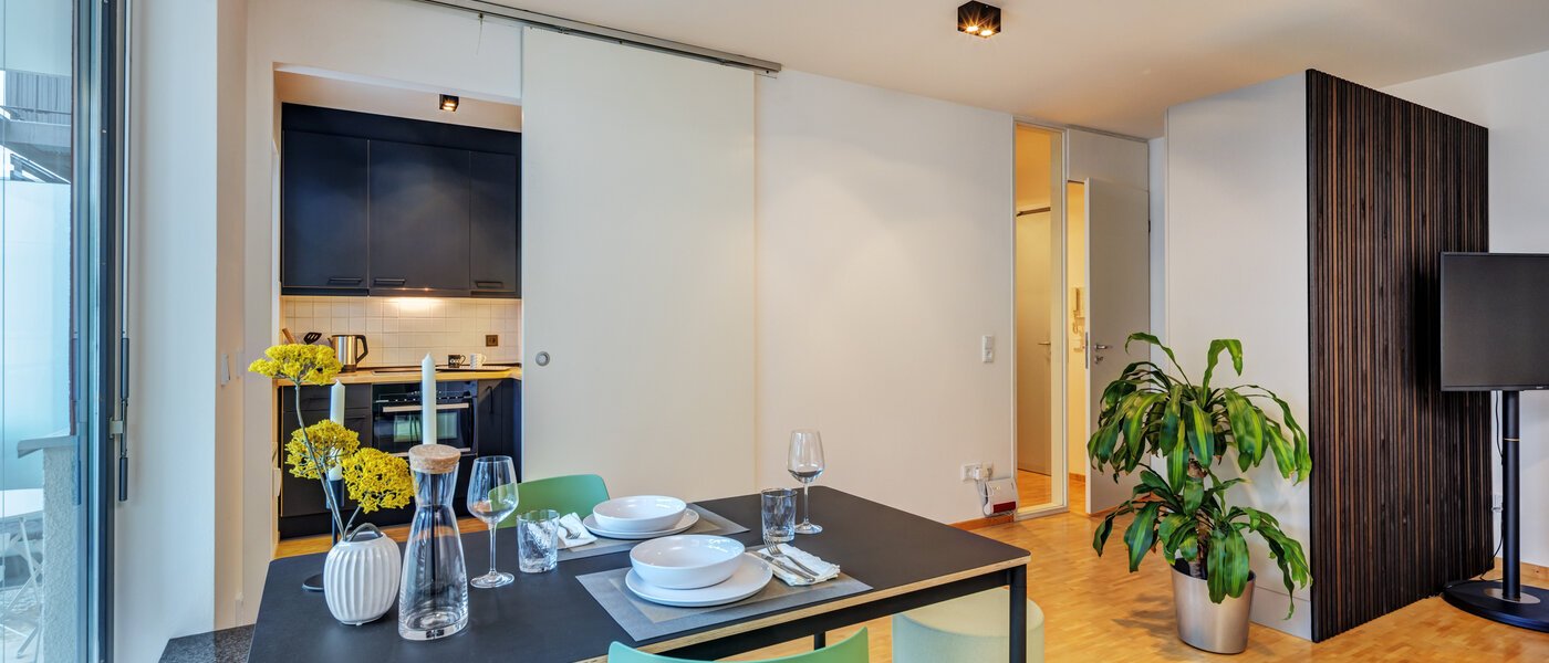 apartment München Maxvorstadt 03 living area 14769