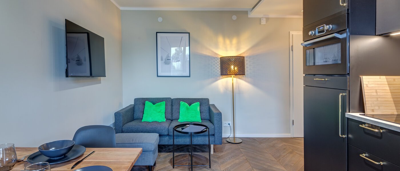 apartment München Giesing 02 living area 14772