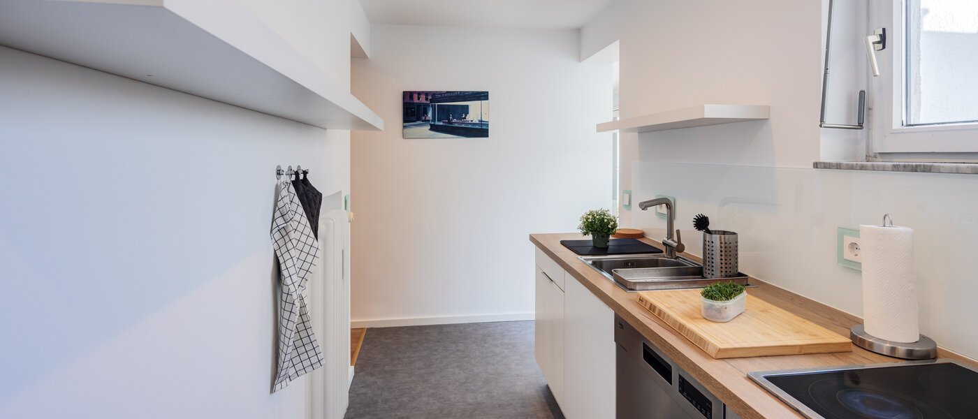 roof terrace apartment München Nymphenburg 02 kitchen 14775