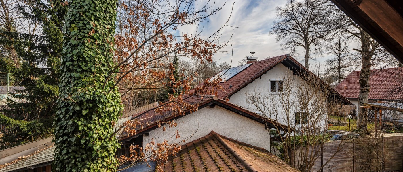 detached house Baldham 02 view 14778