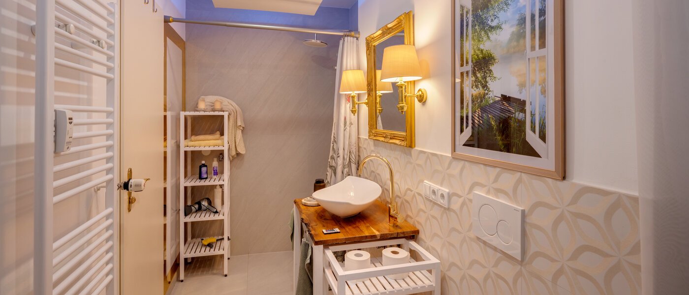 apartment München Obermenzing 04 bathroom 14782