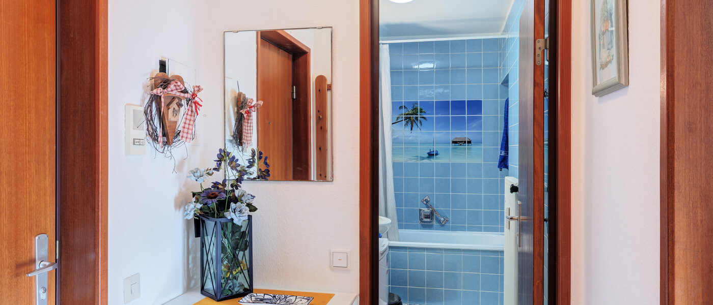 apartment Schliersee 01 hall 14784