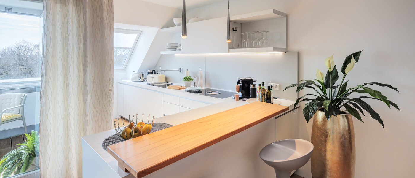 attic apartment München Ludwigsvorstadt 01 kitchen 14803