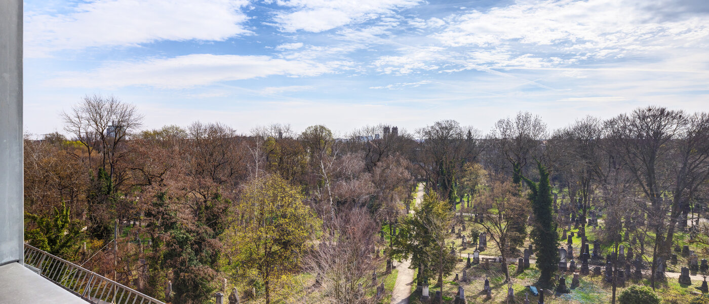 attic apartment München Ludwigsvorstadt 02 view 14803