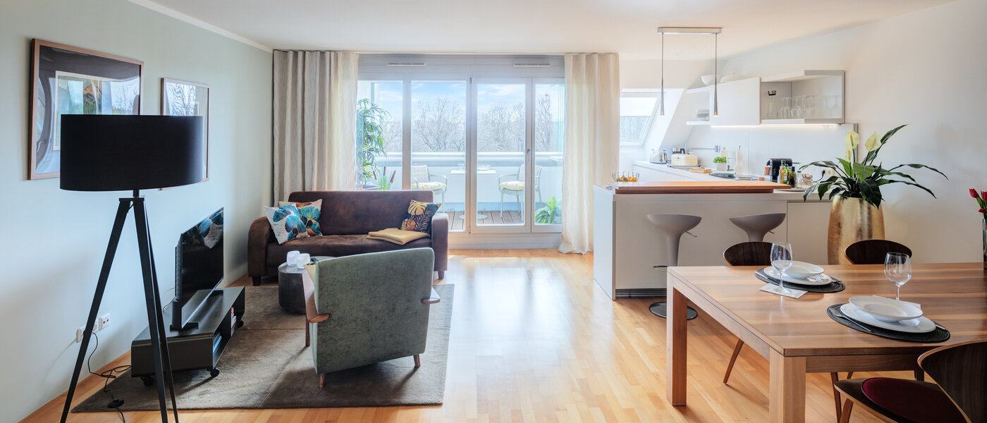 attic apartment München Ludwigsvorstadt 02 living area 14803