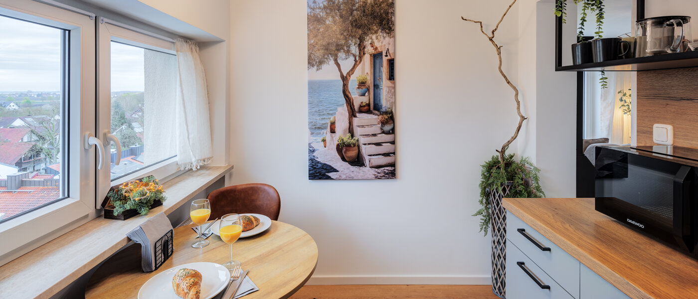 apartment Neufahrn b. Freising 03 kitchen 14815