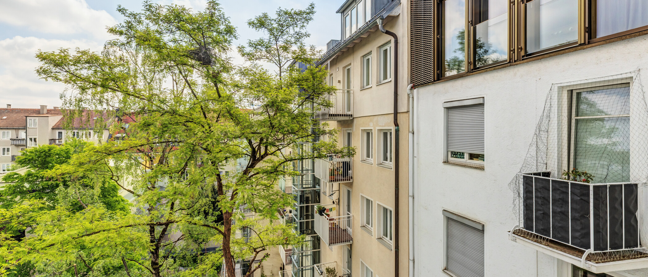 apartment München Maxvorstadt - Universitätsviertel 02 view 14853