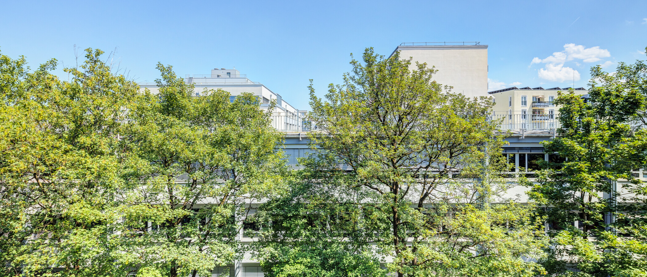 apartment München Schwabing-West 02 view 14901