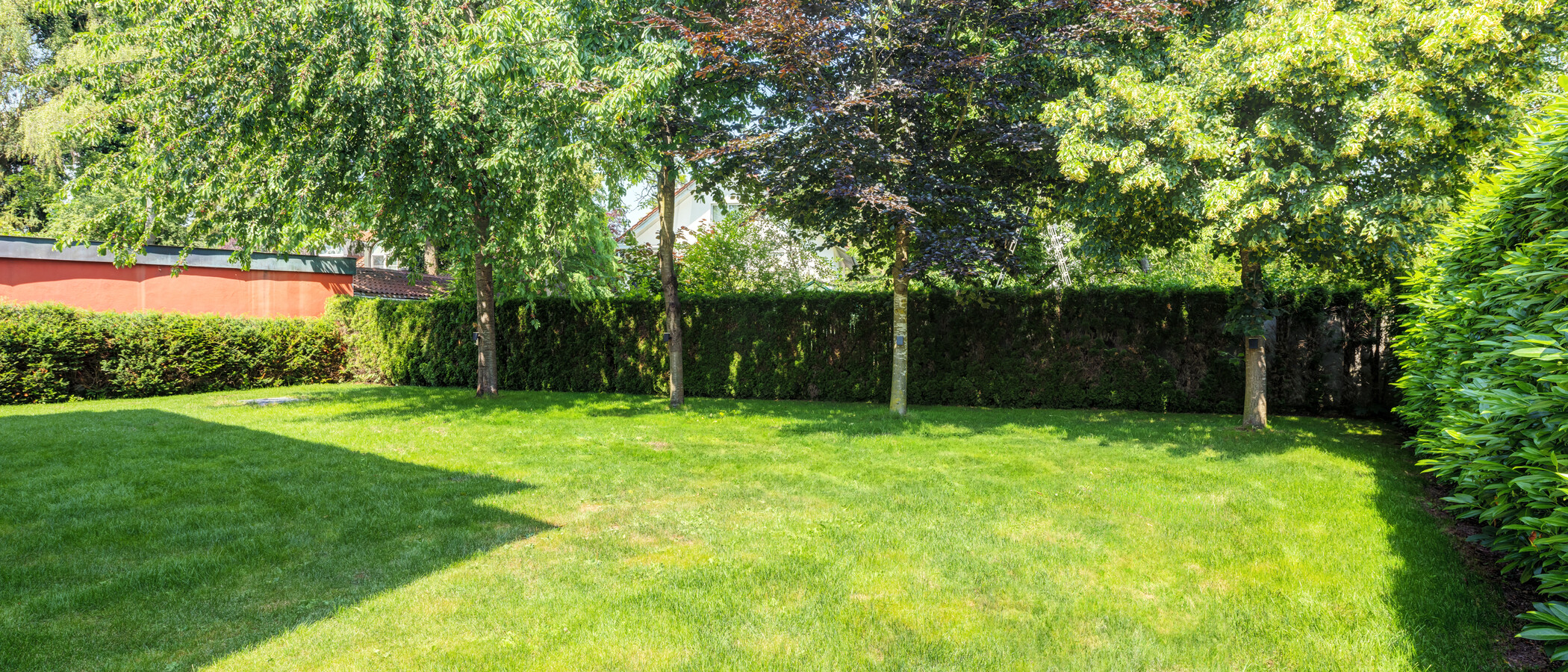apartment with garden 	 München Freimann 02 garden 14904