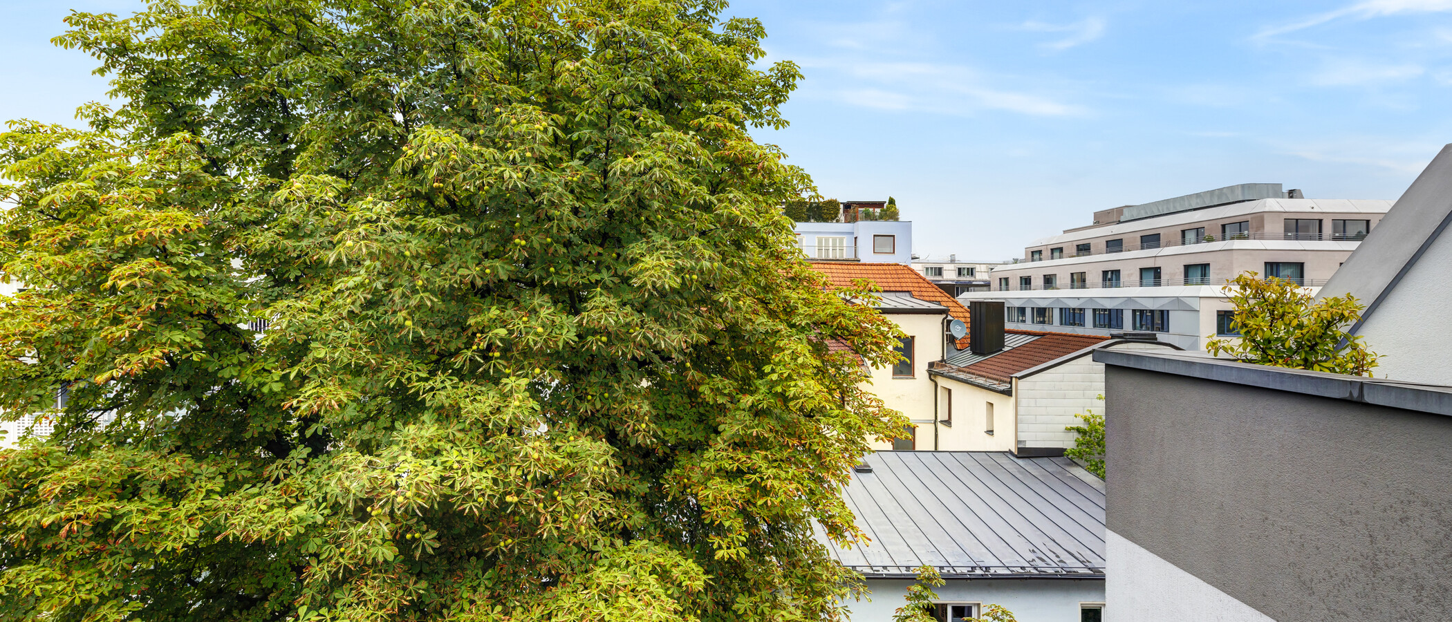 roof terrace apartment München Ludwigsvorstadt 02 view 14956