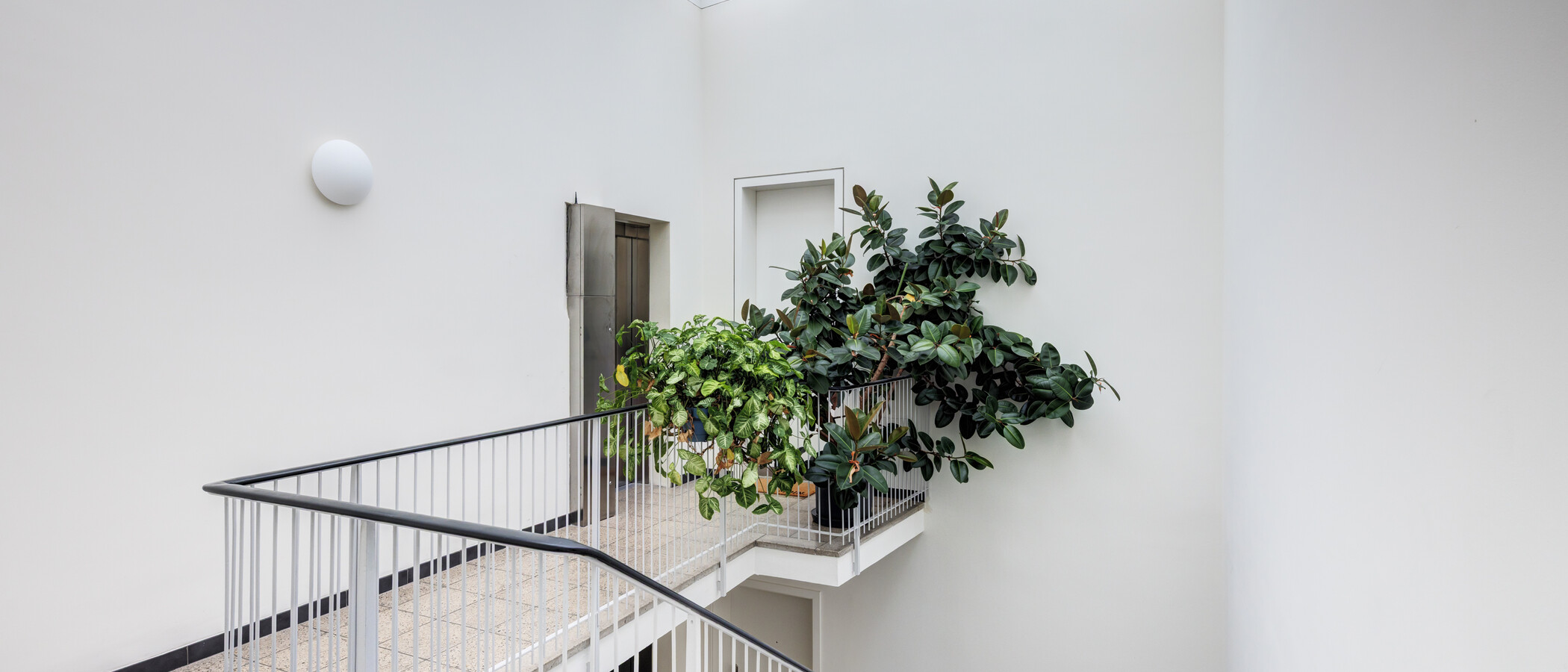 roof terrace apartment München Ludwigsvorstadt 01 staircase 14956