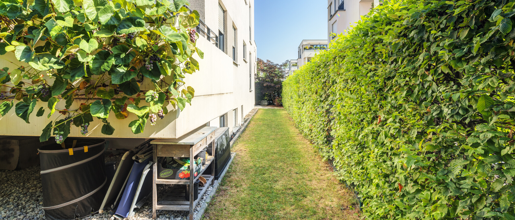 maisonette München Oberföhring 03 garden 14969