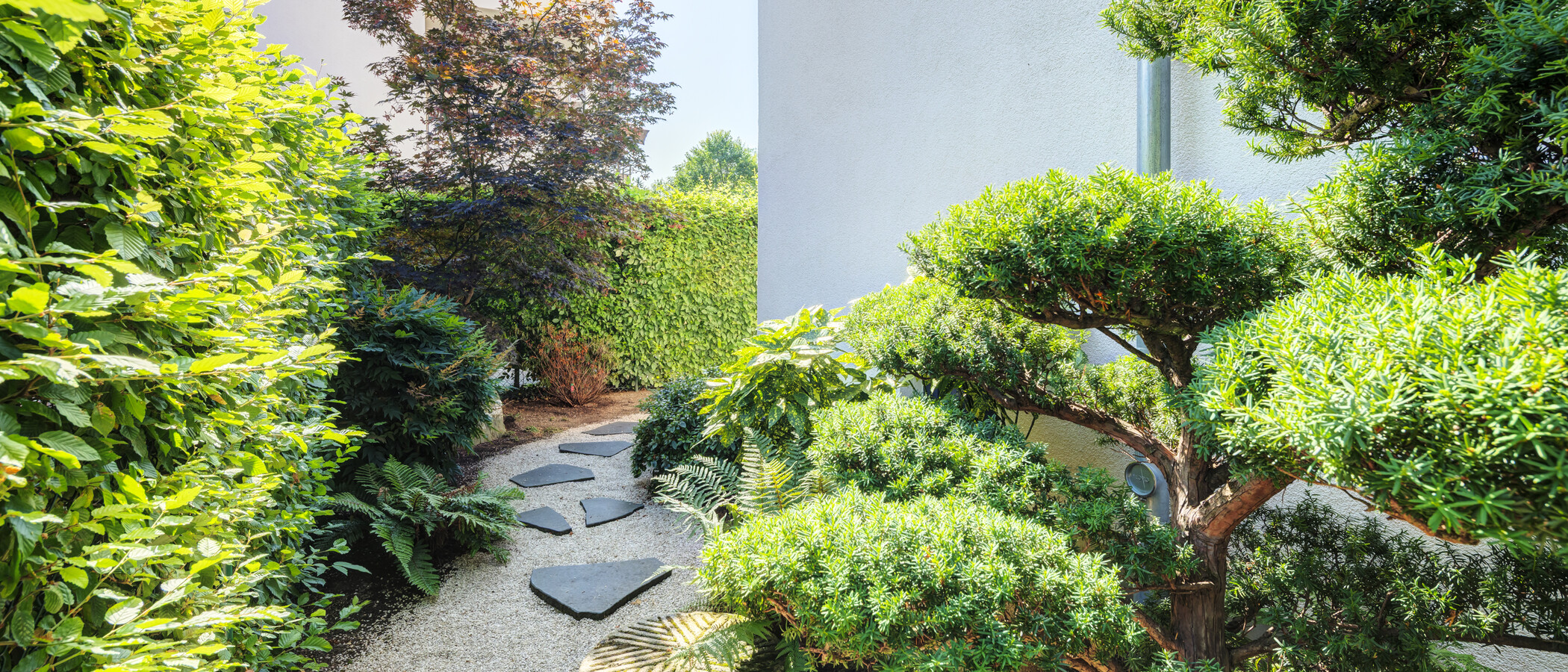 maisonette München Oberföhring 04 garden 14969