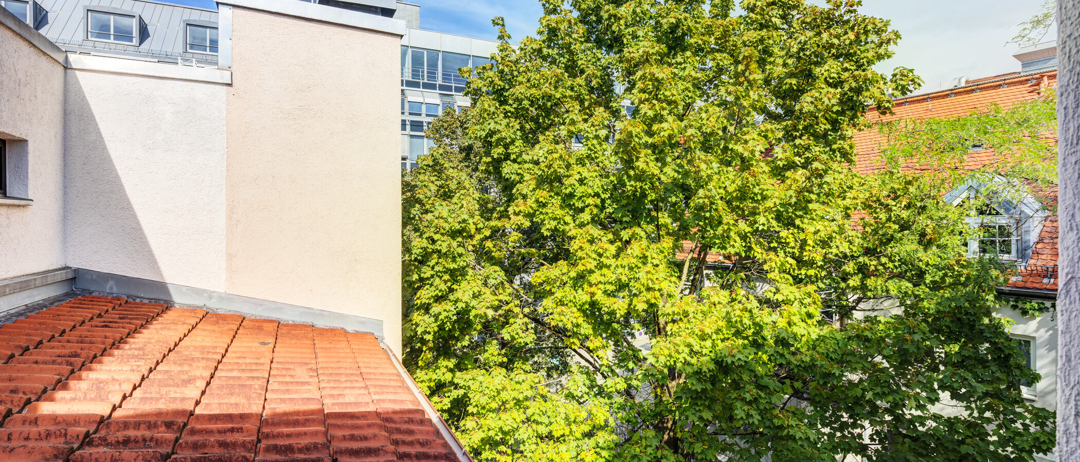 apartment München Maxvorstadt 02 view 15001