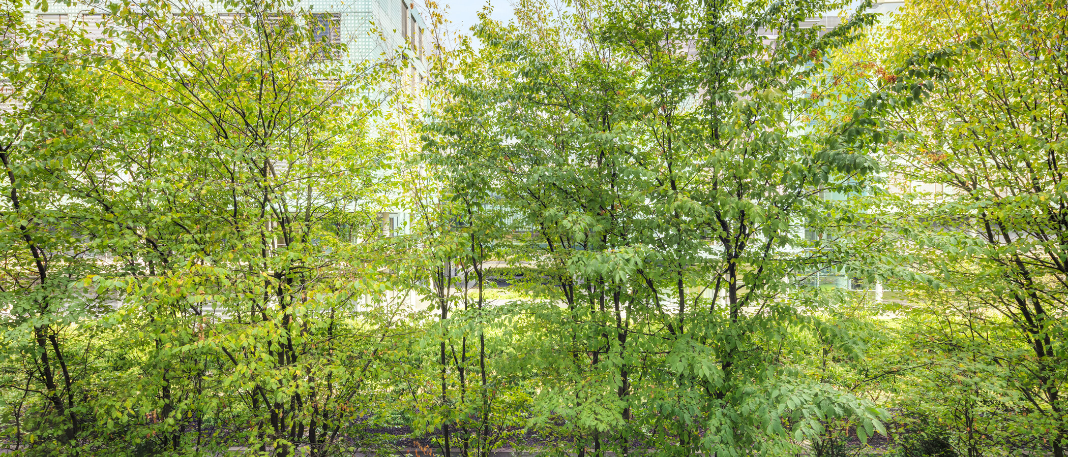 apartment München Schwanthalerhöhe 03 view 15032