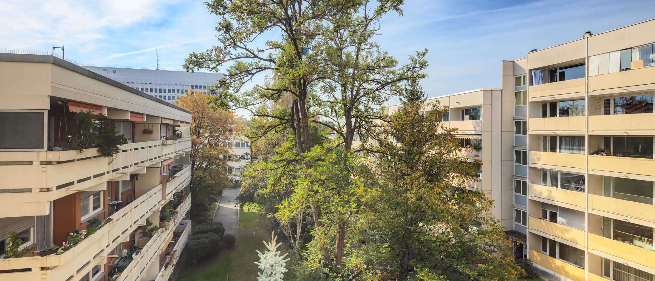 apartment München Pasing 01 view 15037