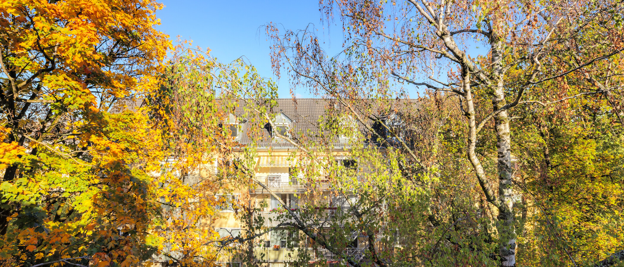 gallery apartment  München Obergiesing 02 view 15054