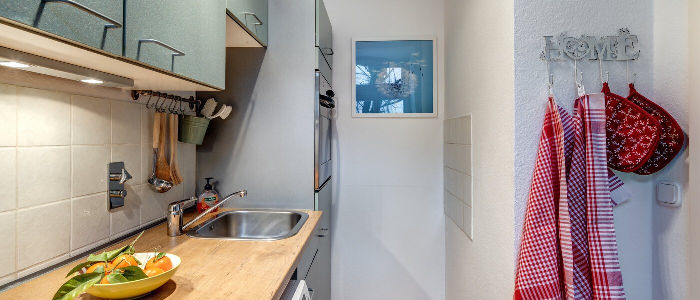 apartment München Neuhausen 03 kitchen 1537