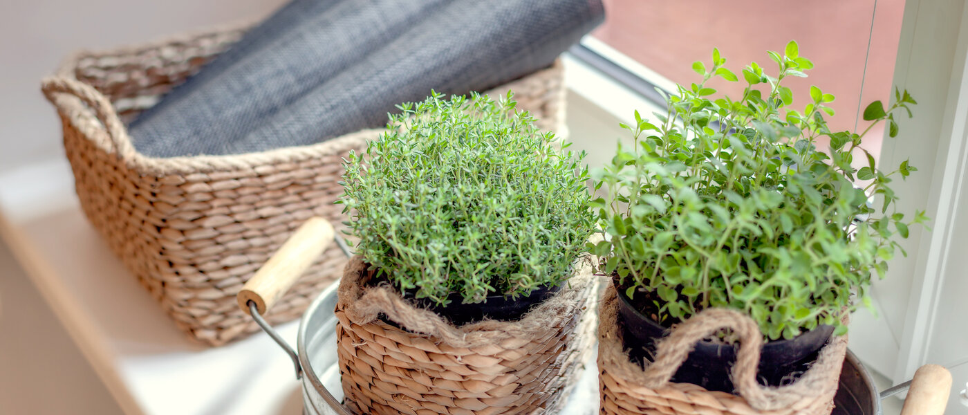 apartment München Gärtnerplatzviertel 04 kitchen 1590