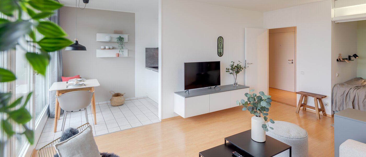 apartment München Schwabing-Nord (zw. Leopoldstraße & Englischen Garten) 04 living area 1739