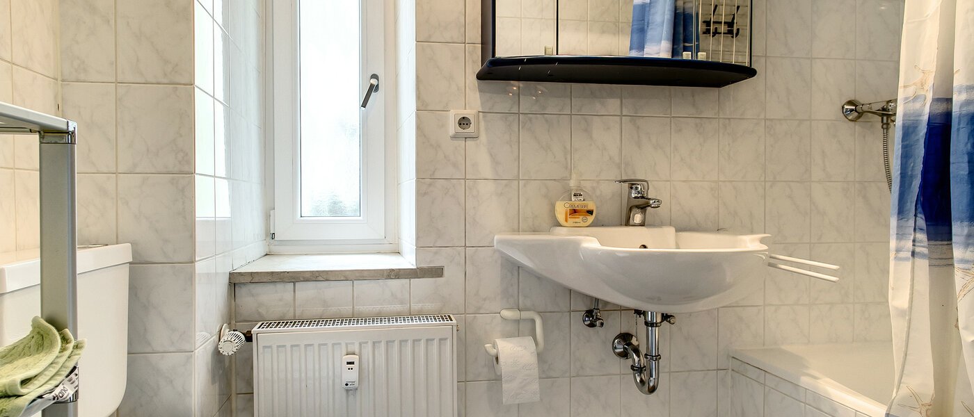 apartment München Schwanthalerhöhe 01 bathroom 1933