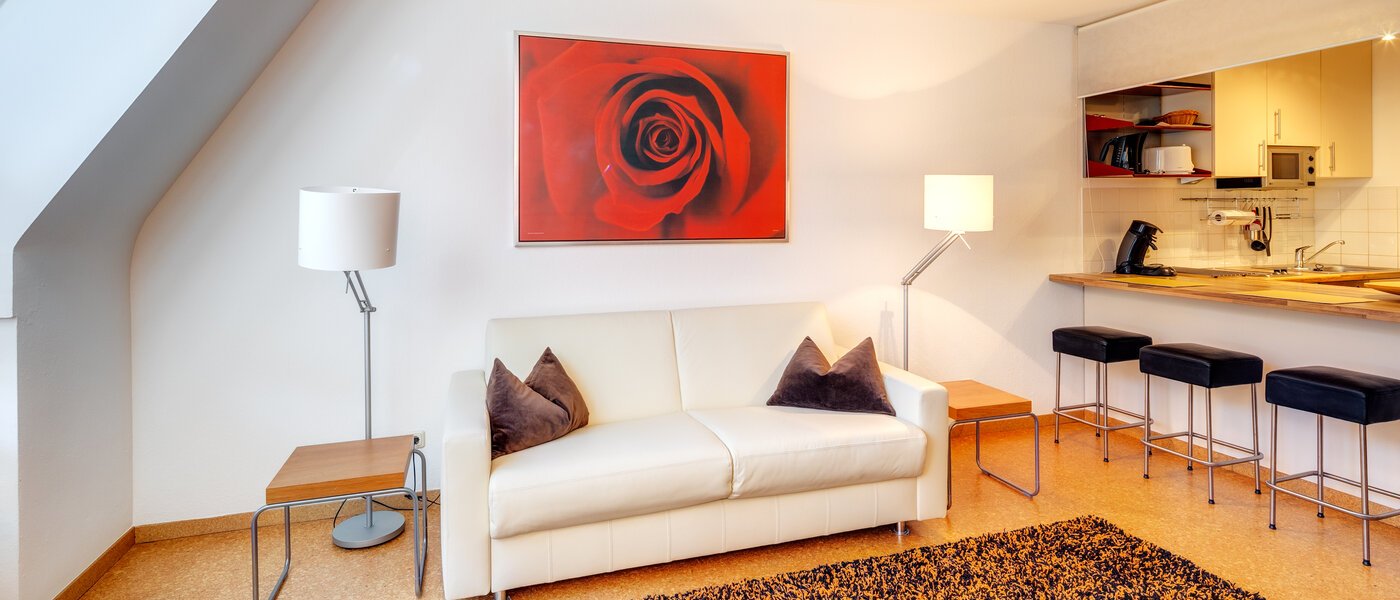 apartment München Haidhausen 02 living area 2169