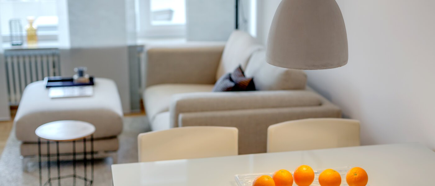 apartment München Solln 06 living room 227