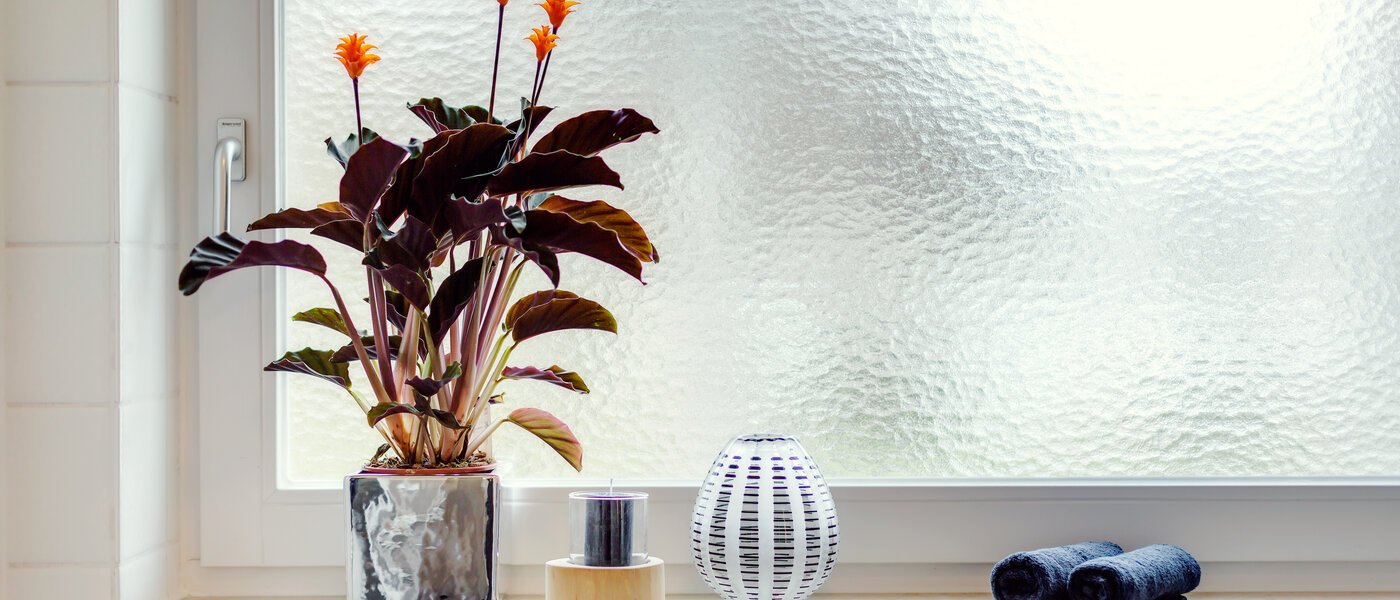 apartment München Solln 02 bathroom 227