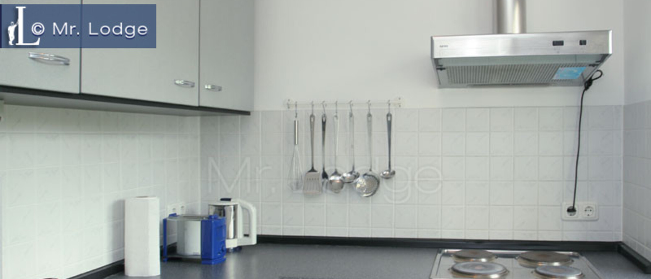 apartment München Johanneskirchen 01 kitchen 229