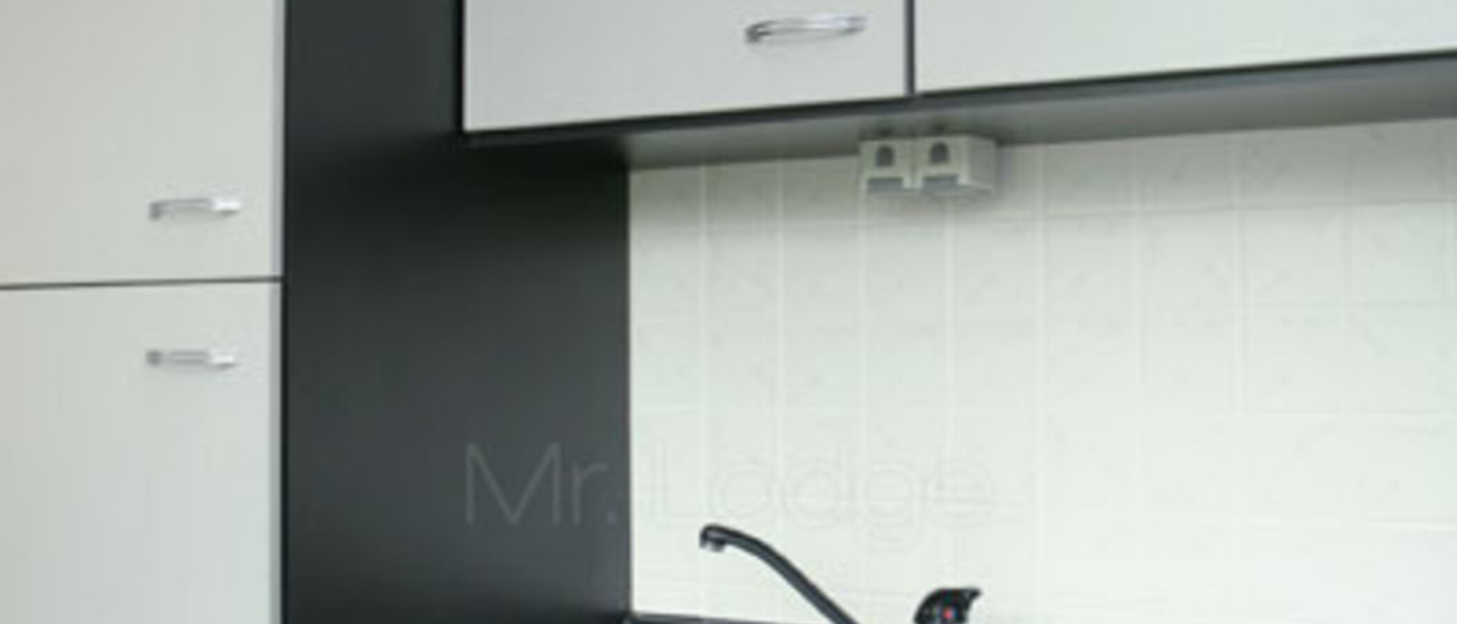 apartment München Johanneskirchen 04 kitchen 229