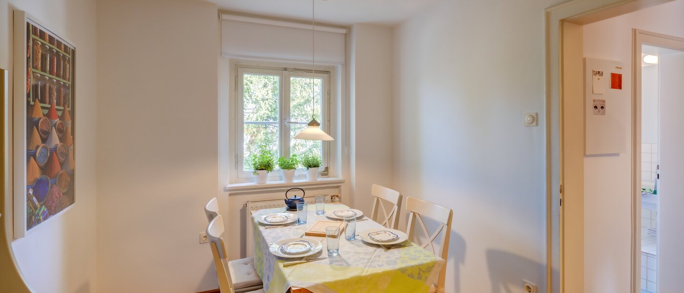 apartment München Solln 02 kitchen 2378