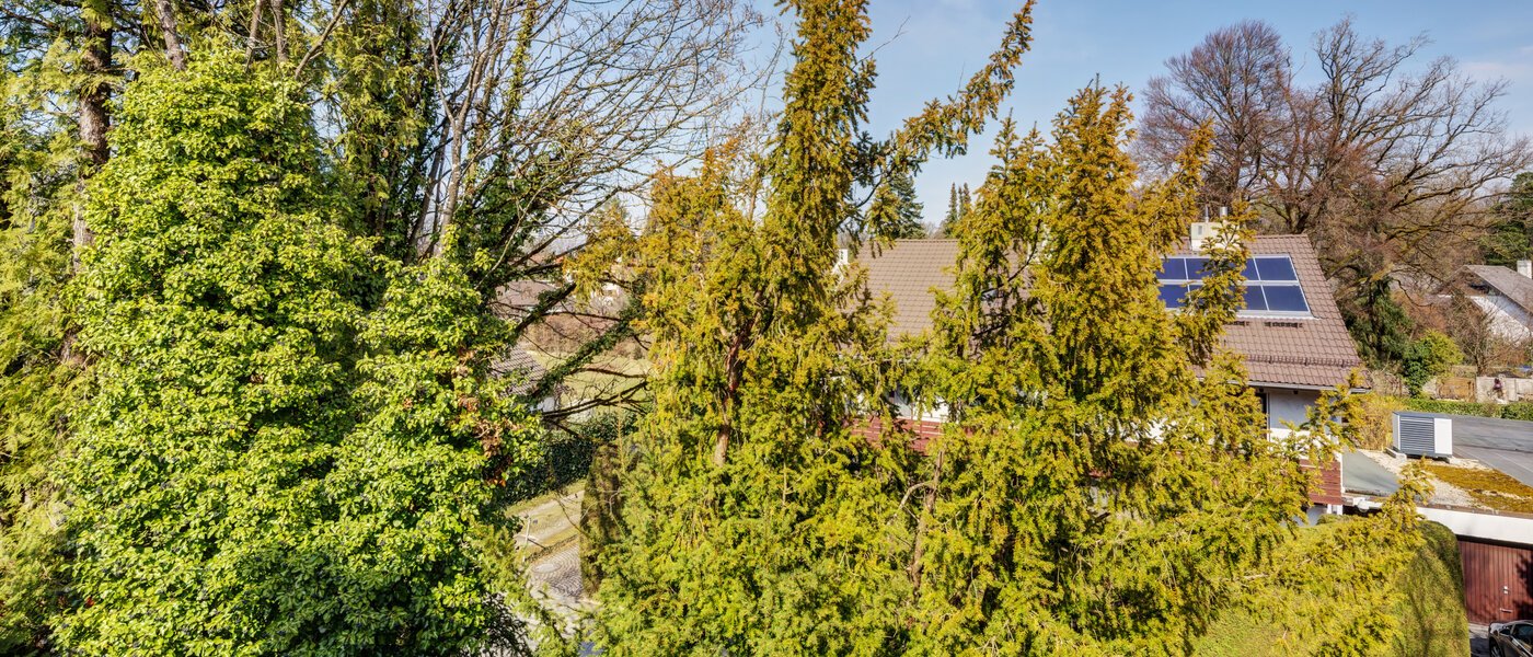 apartment München Solln 03 view 2378