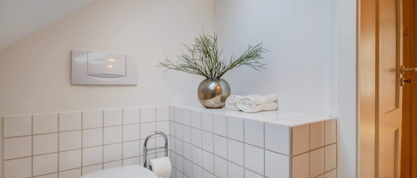 apartment München Solln 01 guest toilet 2378