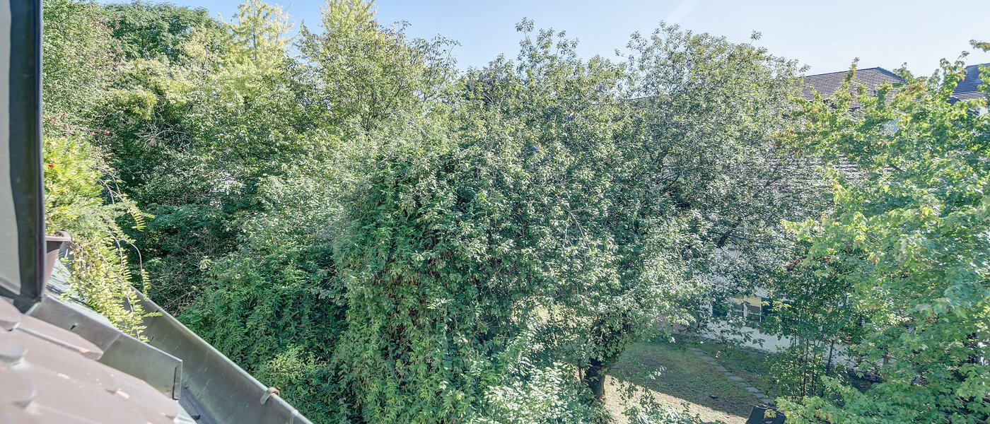 gallery apartment  München Nymphenburg 04 view 2387