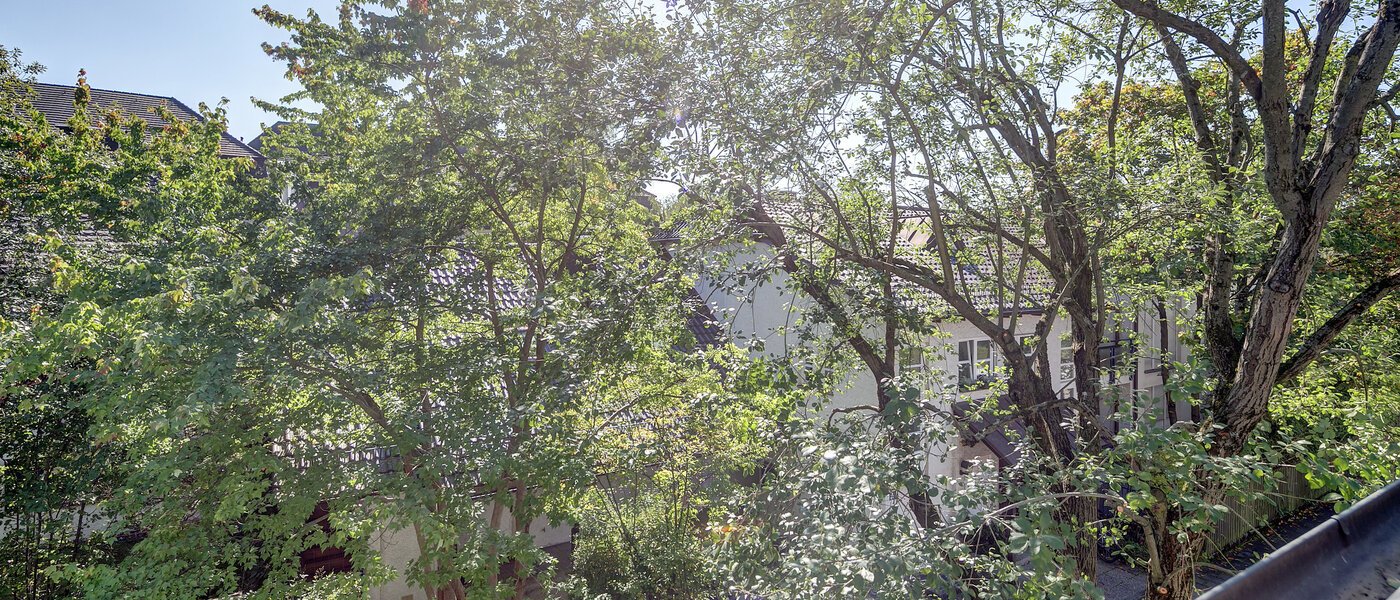 gallery apartment  München Nymphenburg 05 view 2387