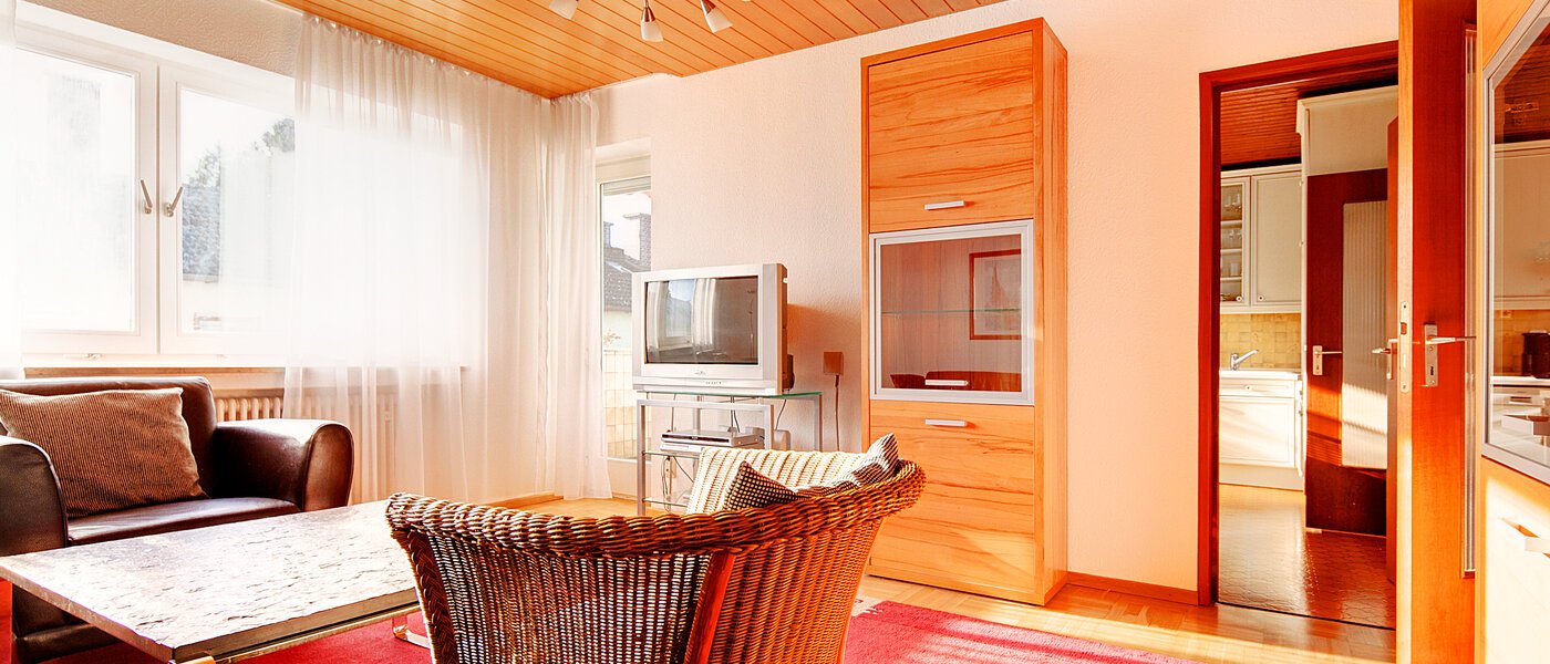 apartment München Solln 03 living room 2453