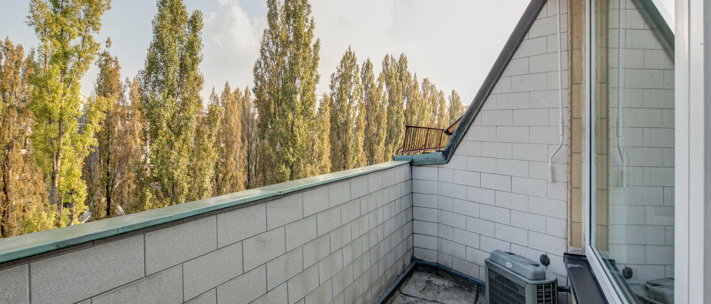 apartment München Schwabing (rechts der Leopoldstraße) 03 terrace 2486