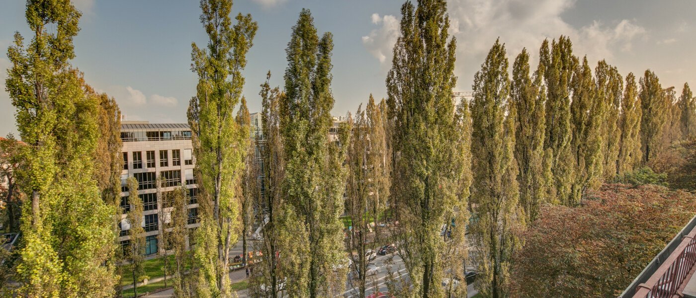 apartment München Schwabing (rechts der Leopoldstraße) 01 view 2486